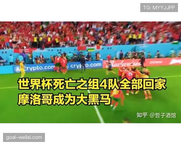 沙特2026世界杯小组赛赛程解析 能否复制卡塔尔奇迹突围死亡之组